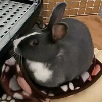 ソラ【マダムコース】
