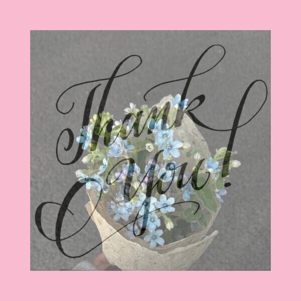 ▶︎▷お礼★次回出勤