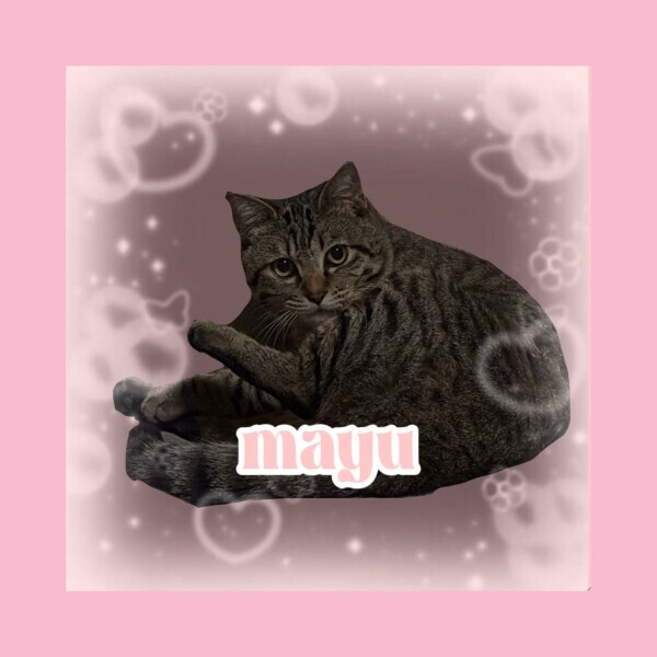 ▶︎▷本日出勤します♡