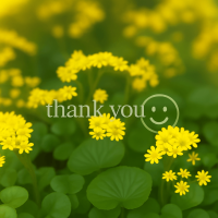 ミライ【マダムコース】