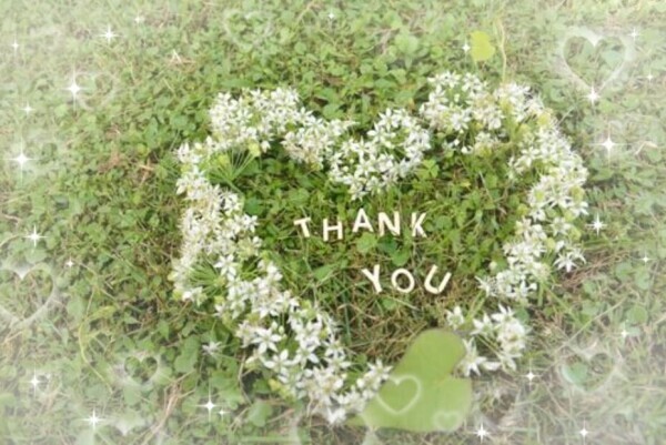 お礼と次回出勤予定♡