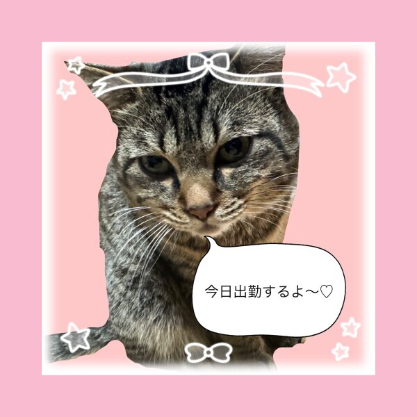 ▶︎▷本日出勤します♡