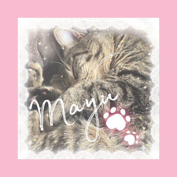 ▶︎▷本日出勤します♡