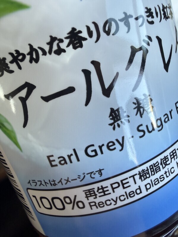 本日、出勤します