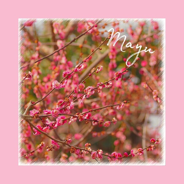 ▶︎▷明日出勤します♡