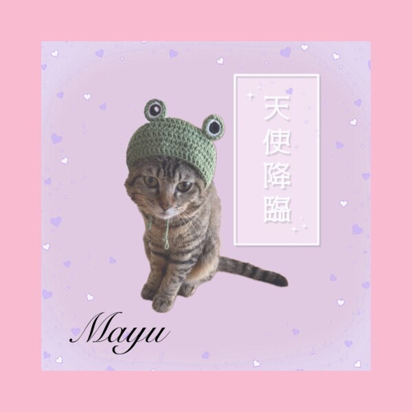 ▶︎▷本日20時から