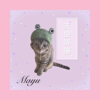 まゆ