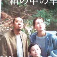 ヒカリ