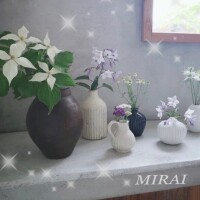 ミライ【マダムコース】
