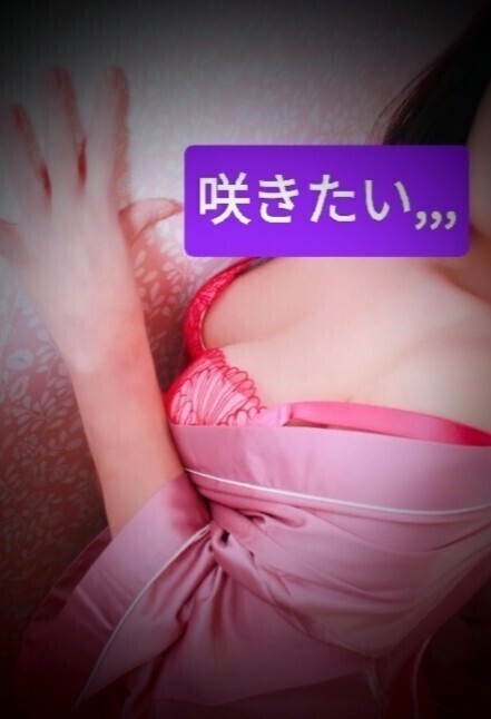 咲,,,,一輪🌹