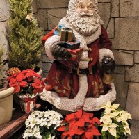 加賀美(かがみ)