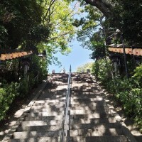芹沢　なぎさ