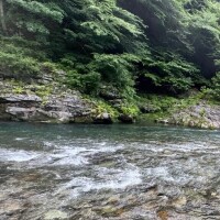 柚木　もも