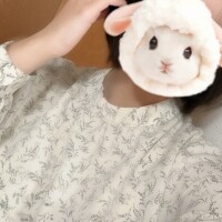 めぇ🐨