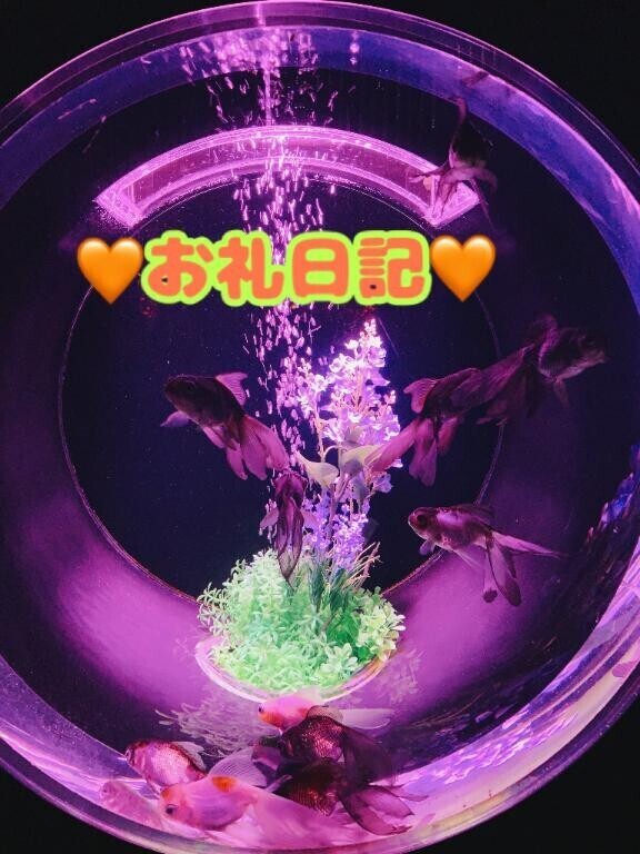 ～再会～