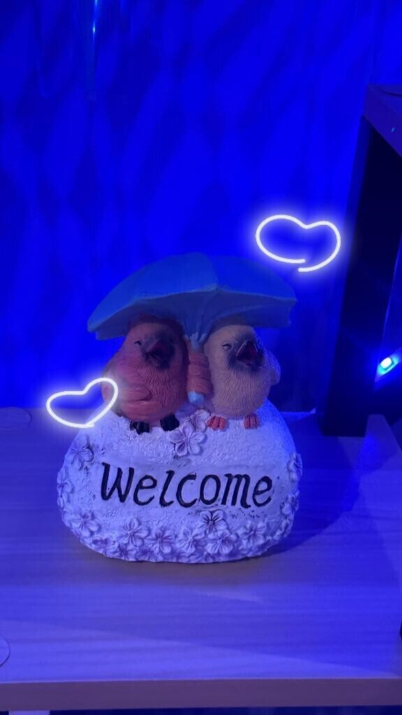 なかよちさん?
