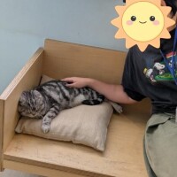 ちはる
