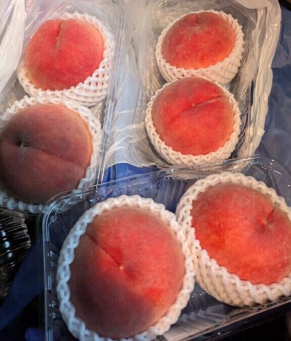 お疲れ様?