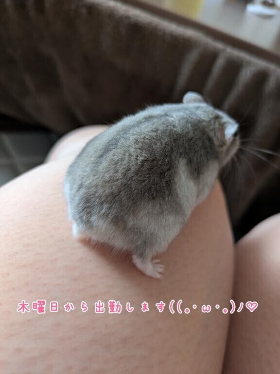 念のため...?