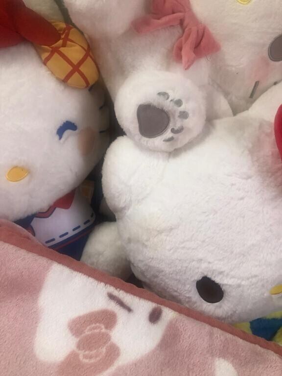 ベッドの上?