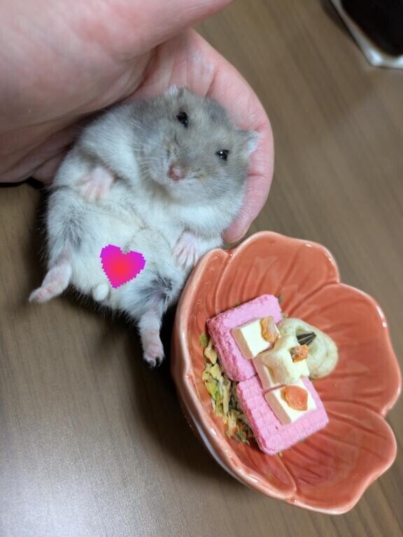 6カ月ハムハム??