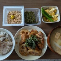 ちはる