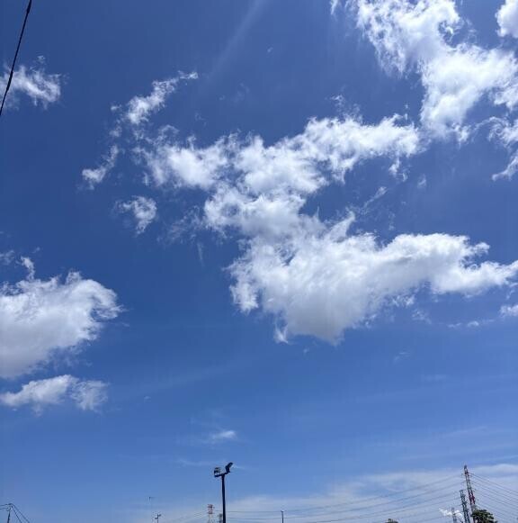朝？昼活? ??-??