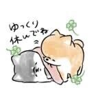お休みなさい??