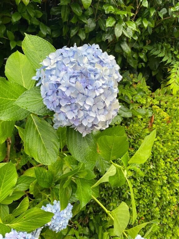 悪天候??