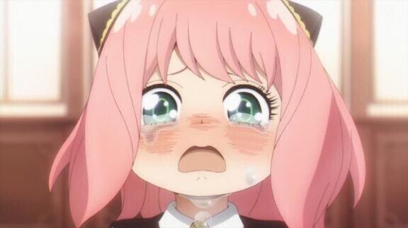 ごめんなさい??