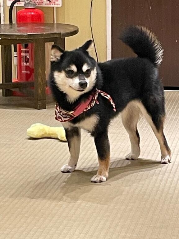 ご予約ありがとうございます??