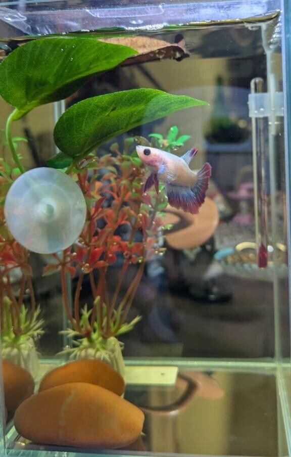 いい1日の始まりだ??