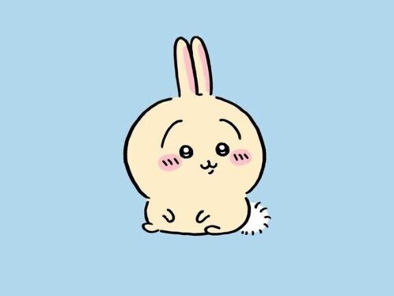 ごめんね… :(??????? ):