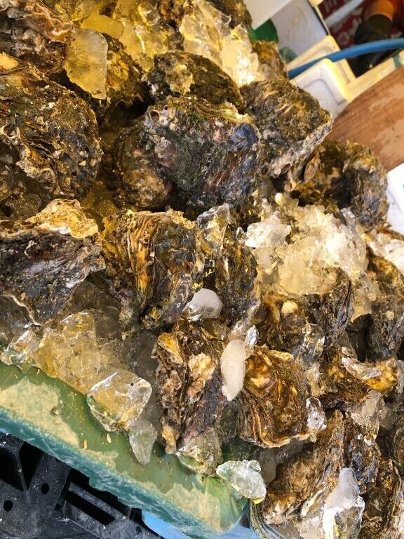 今のうちに！！！！