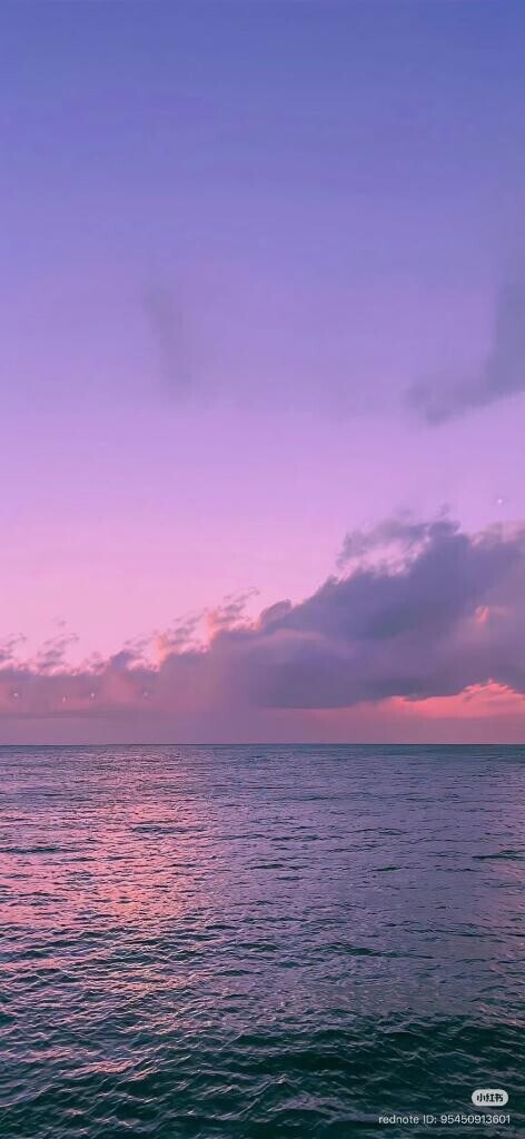 出勤しました(*^^*)