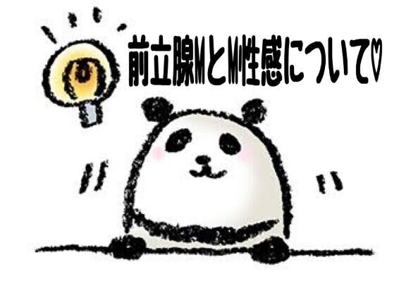 [定期]説明書☆[定期]