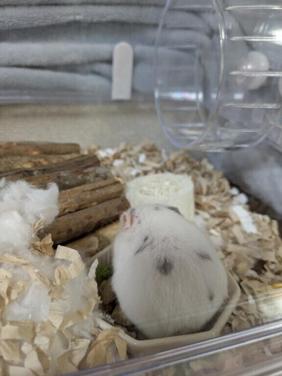 申し訳ないです?