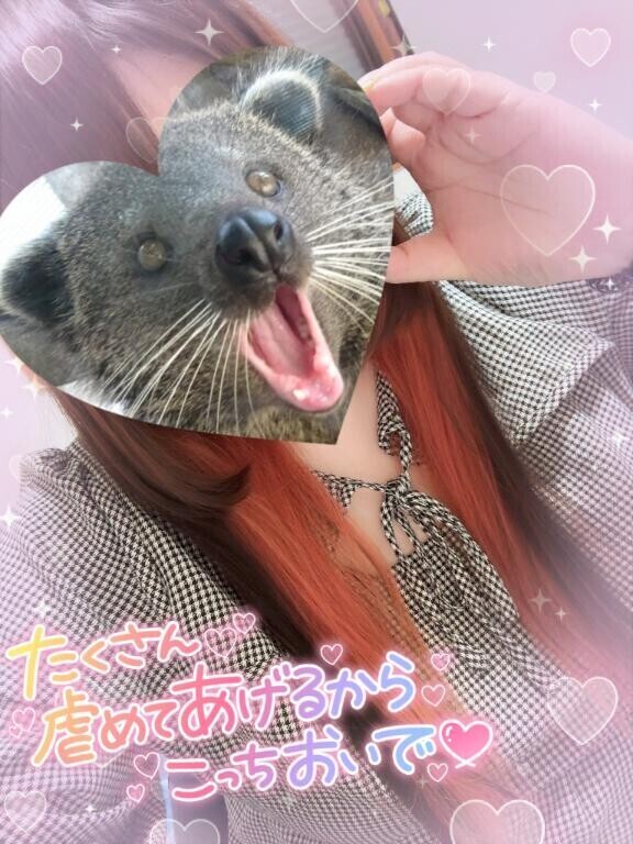 後半戦が始まりました！