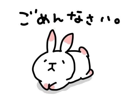 ごめんなさい?
