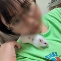 ちはる
