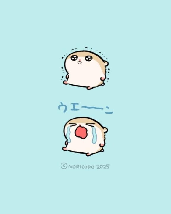 今日もお休みです?