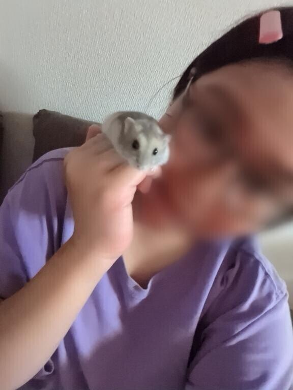 今日は2部制??