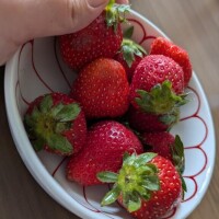 ちはる