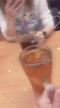 ありがとう