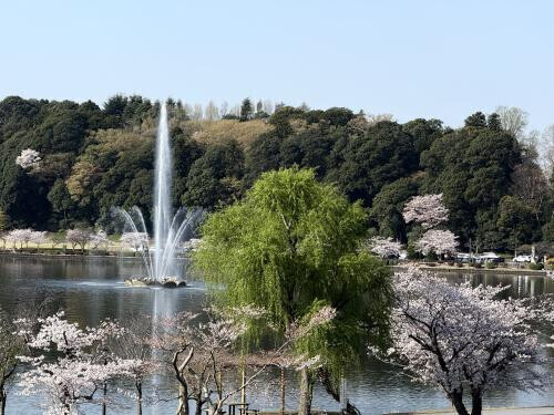 千波湖