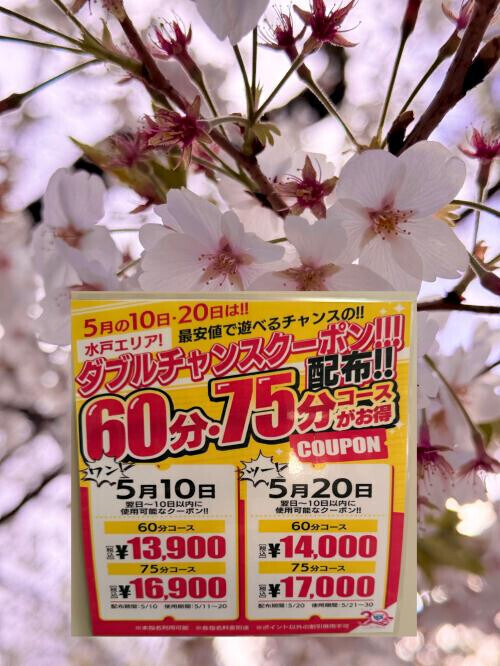 広告写真5枚目