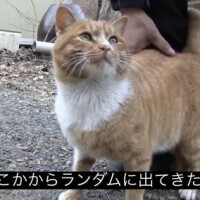 お休みです&一昨日のお礼！