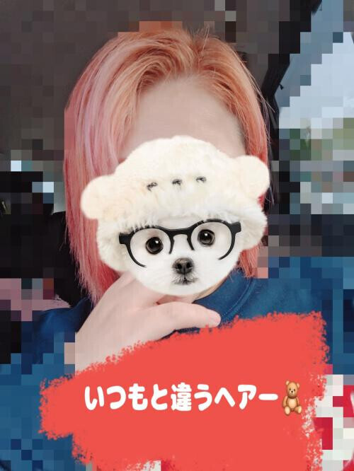 お休み中から〜🧸