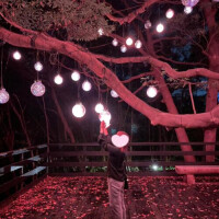 幽谷隠田跡