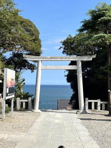 ﾌﾞｲｰﾝεε＝(((((ﾉ･ω･)ﾉ